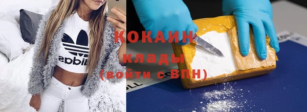 прущие грибы Каменка