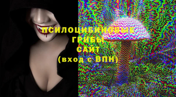 метадон Каменногорск