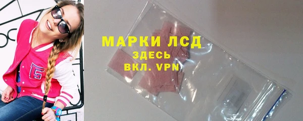 прущие грибы Каменка