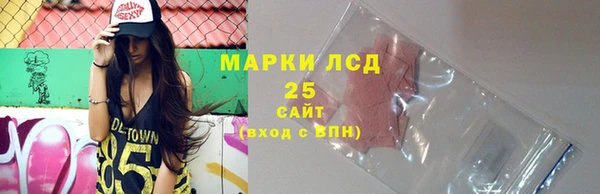 прущие грибы Каменка