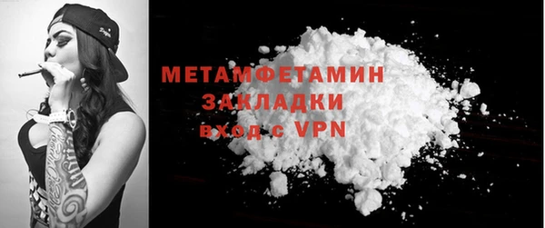 прущие грибы Каменка