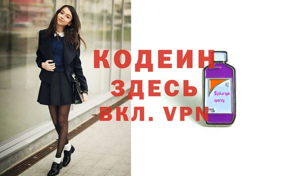 прущие грибы Каменка