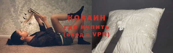 прущие грибы Каменка