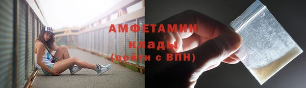 прущие грибы Каменка
