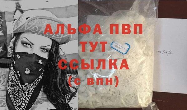 прущие грибы Каменка