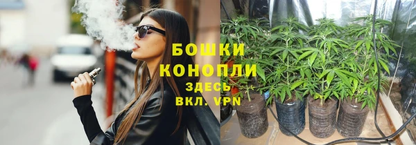 прущие грибы Каменка