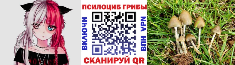 Псилоцибиновые грибы GOLDEN TEACHER  Купить где  Белоярский 